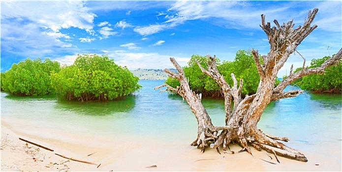 thống kê dự đoán xổ số miền bắc