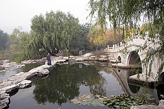 ban ca doi xu