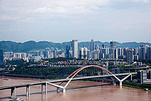 lo de rong vang bach kim