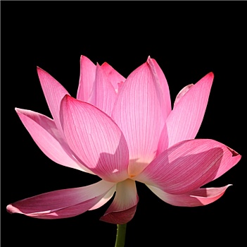 xsmn thứ 4