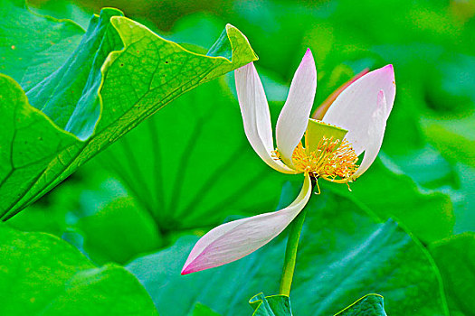 cách chơi đầu đuôi miền bắc