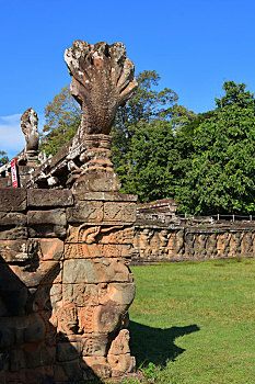 soi cau 3666