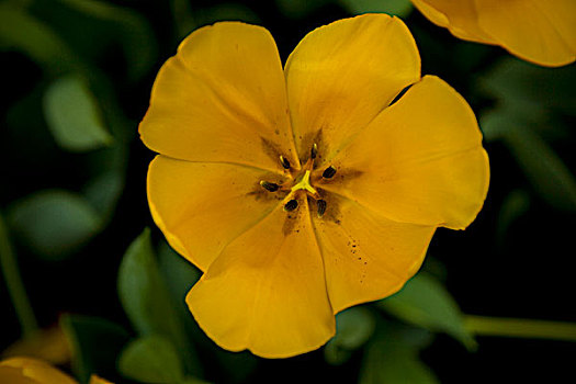 xsbthuan
