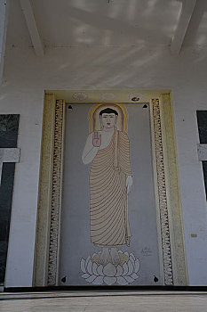 soi cau 135