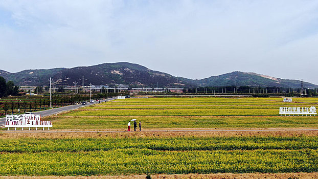 xổ số kiến thiết trà vinh
