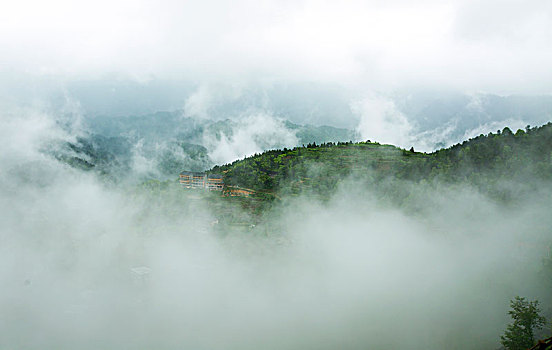 kinh doanh cá cược