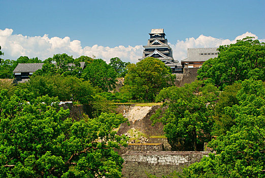 soi cau chuan mjsa