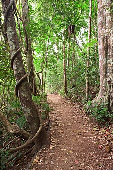 xô sô miên bac