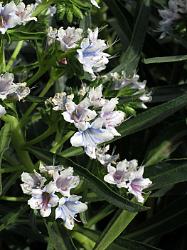 thống kê xsmb hôm nay