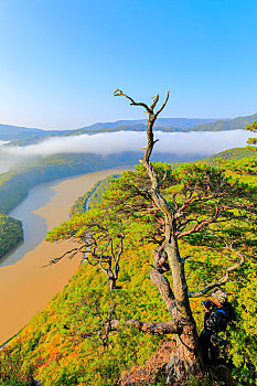 soi cau rong bach kim mb