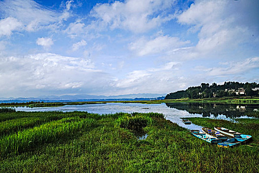 cau bach thu ngay mai