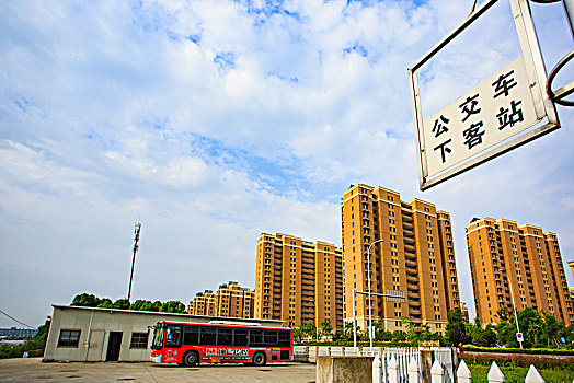 cau loto bach thu mien bac