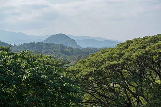 soi cau rong bach kim 888