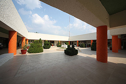 soi cau rong bach kim 888 hom nay