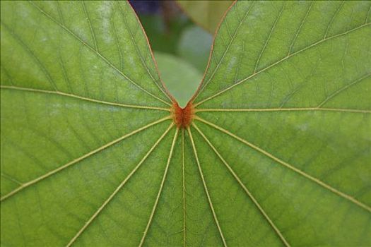xổ số tây ninh tuần trước