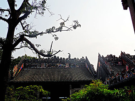 soi cau 668