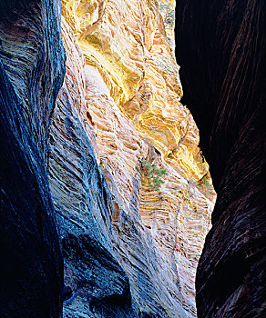 kinh nghiem danh lo bach thu