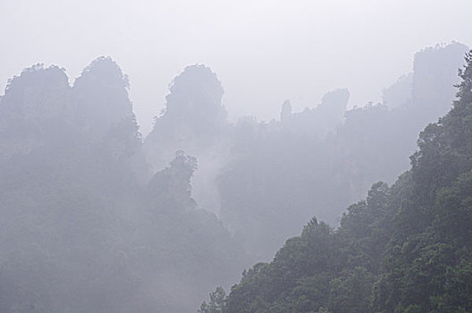 thống kê bạch thủ