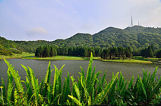 xổ số hàng tuần