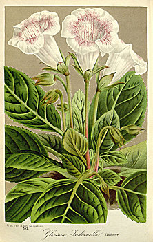 xổ số thành phố