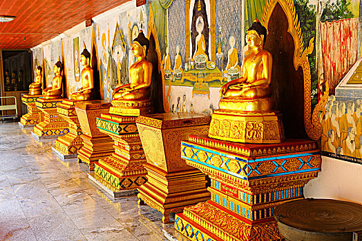xem lịch đá gà