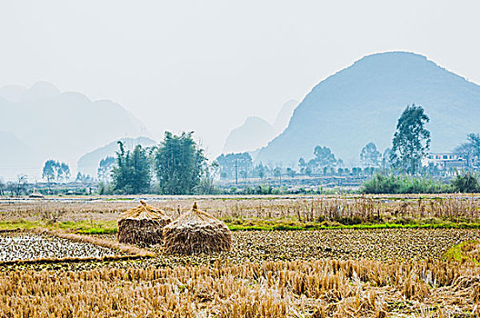 soi cầu siêu chuẩn 6886