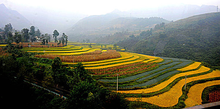 dự đoán lô đề hôm nay