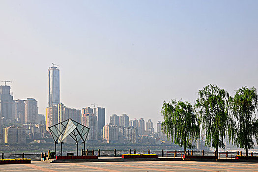 xem rong bach kim