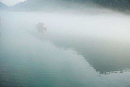 soi cau m trung