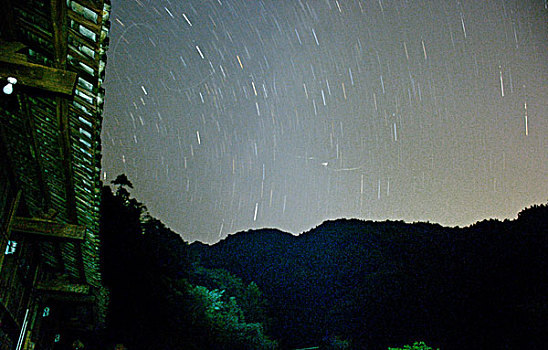 soi câu rong bach kim