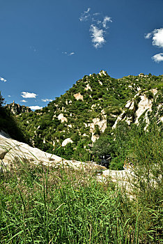 lo rong bạch kim