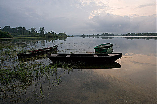 soi cau net 247