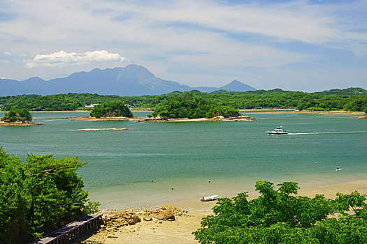 soi cau rong bach kim 88