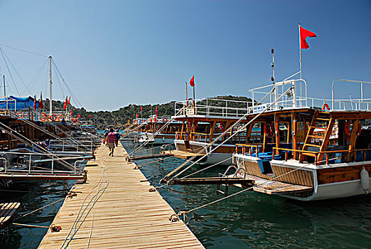 soi cau rong bạch kim