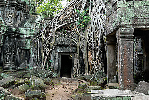 cầu bạch kim