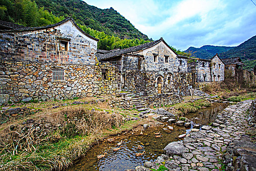 lo gan rong bach kim