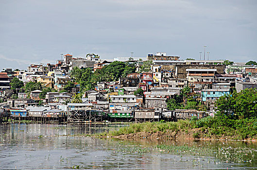 xuantocdo miền bắc