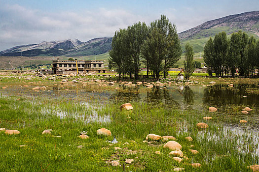 du doan mb