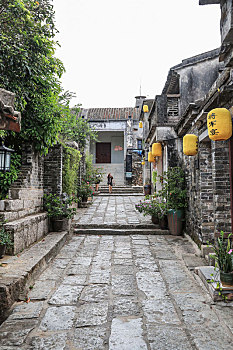 soi rong bach kim