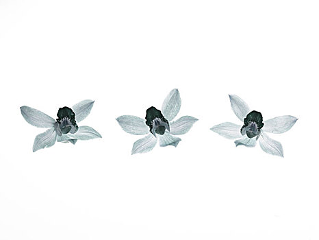 xổ số miền bắc 2