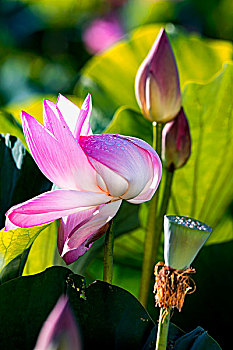 du doan xs binh duong