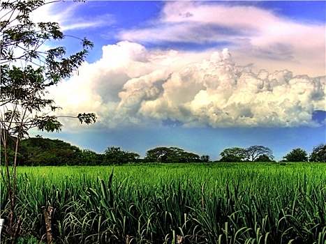 soi bạch thủ đề hôm nay