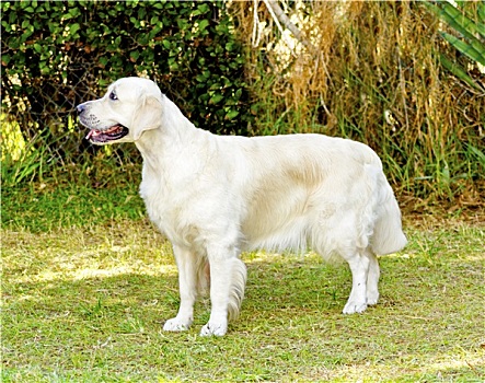 xổ số miền bắc ngày thứ hai