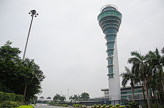 soi cau vang