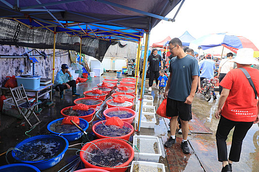 bai hat ban tinh ca mua dong