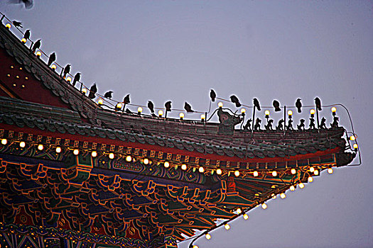soi cầu 29