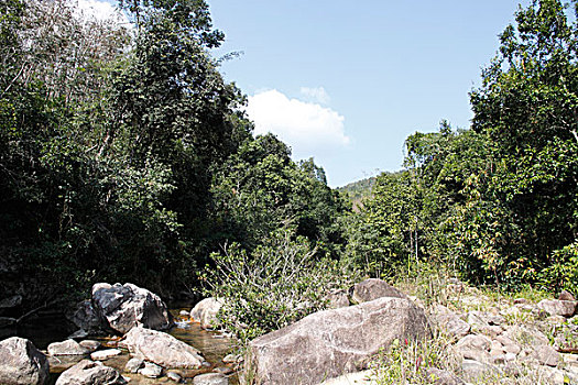 đề chuẩn