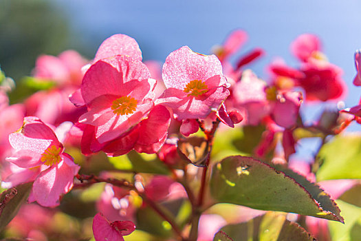 lô tô miền bắc hôm nay