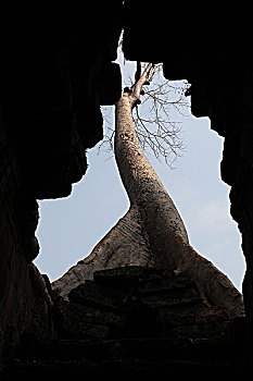 đánh bài iwin trên máy tính